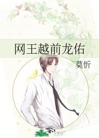 《网王越前龙佑》
