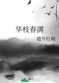 《华枝费曼》