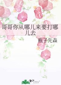 《哥哥你从哪儿来要打哪儿去》