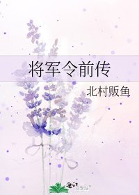 《将军令前传》