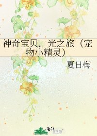 《神奇虹贝,光之旅(宠物小精灵)》