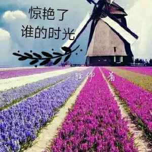 《惊艳了谁的时光》