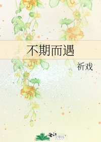《不期而遇》