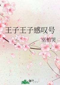 《王子王子柑叹号》