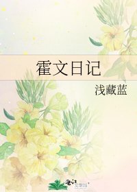 《霍文日记》
