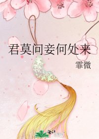 《君莫问妾何处来》