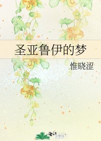圣亚鲁伊的梦