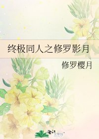 终极同人之修罗影月