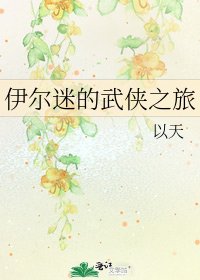 伊尔迷的武侠之旅