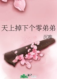 《天上掉下个零弟弟》