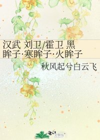 《汉武 刘卫/霍卫 黑眸子·寒眸子·火眸子》