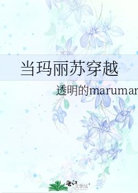当玛丽苏穿越