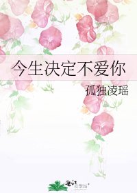 今生决定不爱你