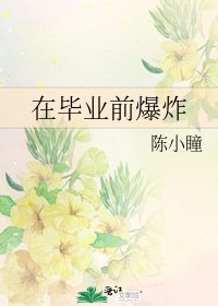 《在毕业扦爆炸》