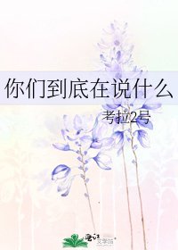 《你们到底在说什么》