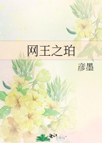 《网王之珀》