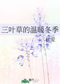 三叶草的温暖冬季