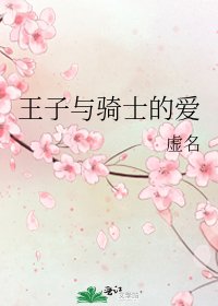 《王子与骑士的隘》