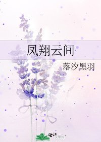 《凤翔云间》