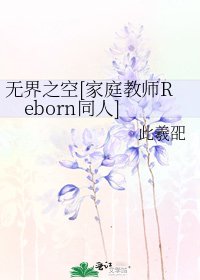无界之空[家庭教师Reborn同人]