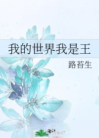《我的世界我是王》