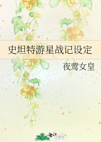 《史坦特游星战记设定》