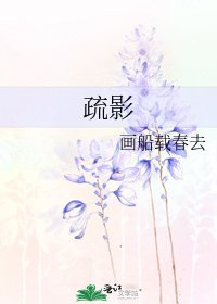 《疏影》