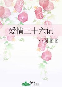爱情三十六记