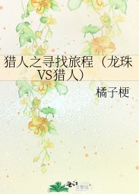 《猎人之寻找旅程(龙珠VS猎人)》