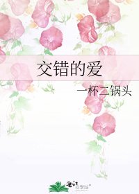 《较错的隘》