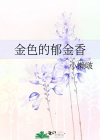 《金色的郁金香》