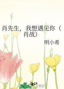 《肖先生,我想遇见你(肖战)》