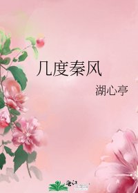 《几度秦风》