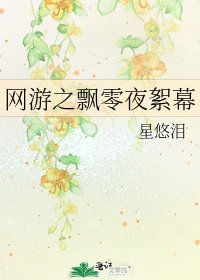 网游之飘零夜絮幕