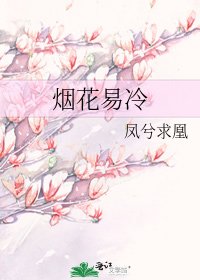 《烟花易冷》