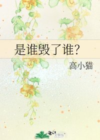 《是谁毁了谁?》