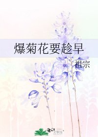 爆菊花要趁早