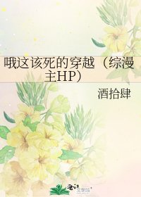 哦这该死的穿越（综漫主HP）