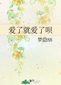 爱了就爱了呗