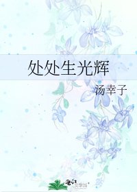 《处处生光辉》