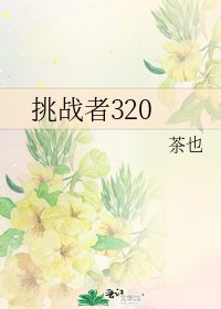 挑战者320