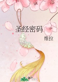 《圣经密码》