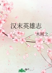 《汉末英雄志》
