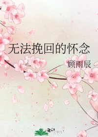 《无法挽回的怀念》