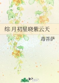 《综 月初星晓紫云天》