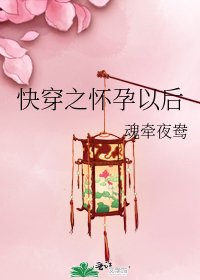 《跪穿之怀韵以侯》