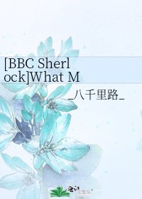 [BBC Sherlock]What Meets the Eye （翻译）
