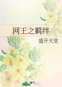 《网王之羁绊》