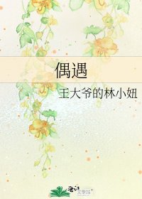 《偶遇》
