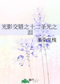 《光影较错之十二圣光之泪》